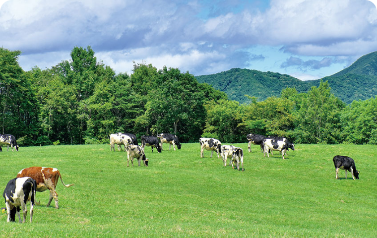 バイオガスプラントやICTを活用した地域の課題解決、持続可能な畜産・酪農業の実現