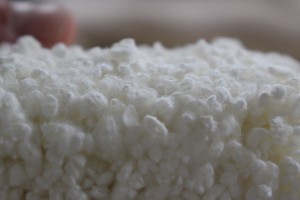 蒸米の表面にうっすらと繁殖した麹菌