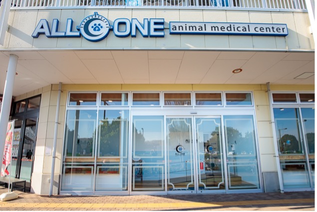 イメージ：多拠点の医院グループで症例を共有し、スキルアップ。ギガらくカメラのネットワークが動物医療を支えていく