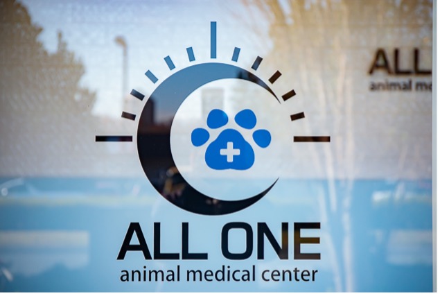 イメージ：多拠点の医院グループで症例を共有し、スキルアップ。ギガらくカメラのネットワークが動物医療を支えていく02