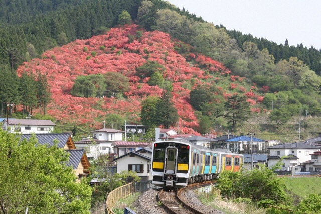 イメージ：町域をネットワークして安心と産業を支える。ダリアのまちでマルチに活躍するギガらくカメラ