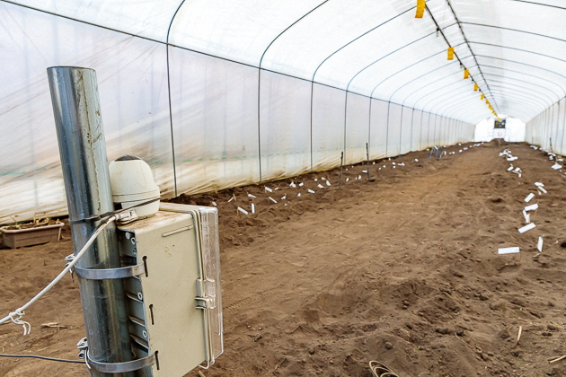 イメージ：町民に寄り添った、等身大のICTサービスを導入・運用していきたい02