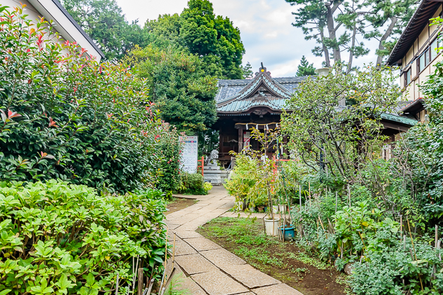 イメージ:神社仏閣は賽銭泥棒だけではなく、いたずらや不審者の対策が必須-02