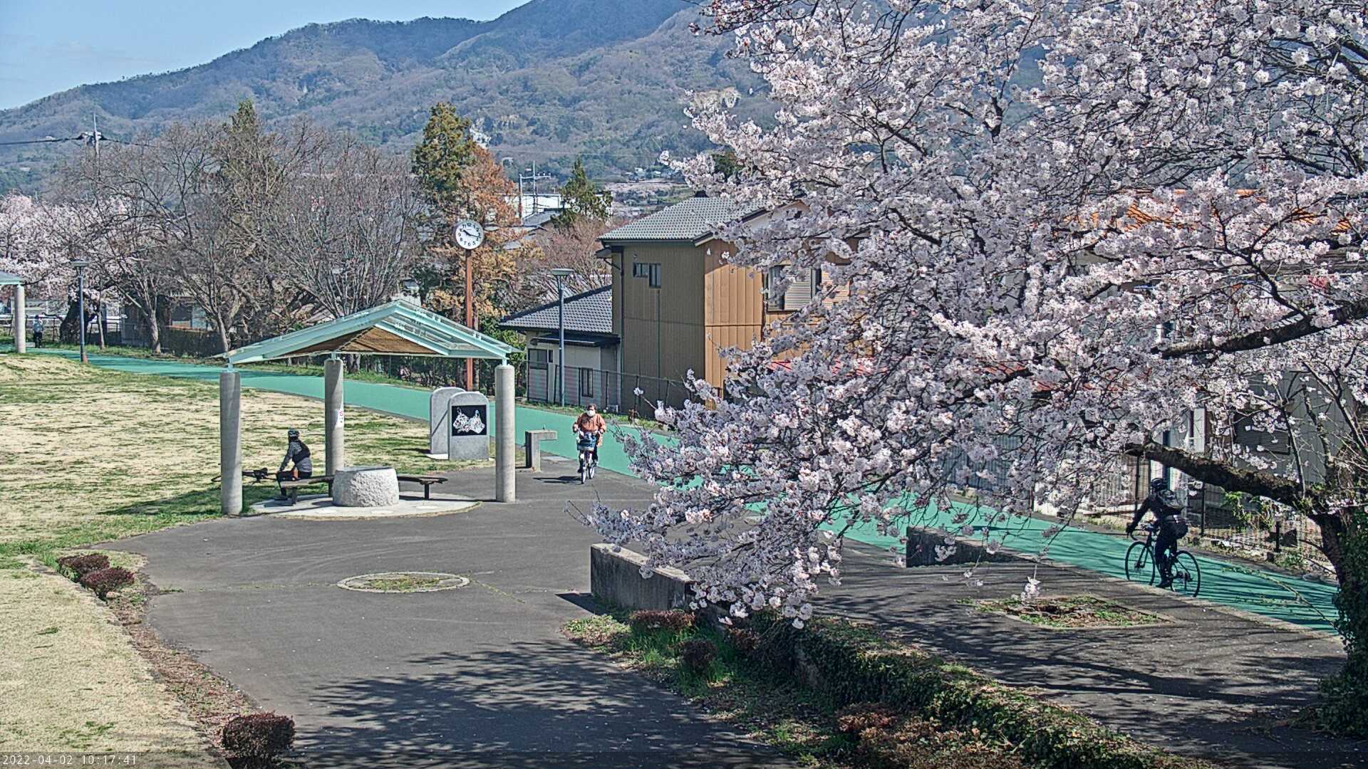 イメージ：安全を担保する土木部、観光PRをねらうスポーツ推進課のコンビで運用