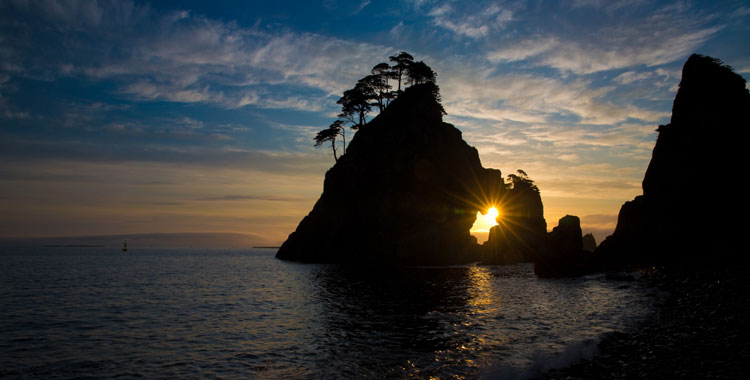 イメージ：AI-OCR/RPAで入力作業時間を約8割削減 職員減少が進む自治体の業務効率化を加速