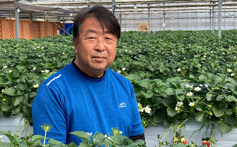 イメージ：株式会社いちご畑 代表取締役社長 髙荷政行　氏