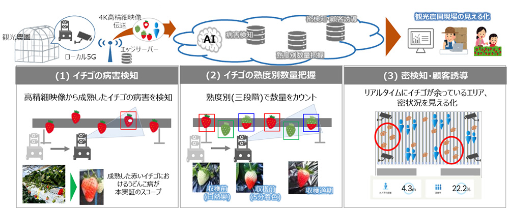 イメージ：【実証イメージ】
