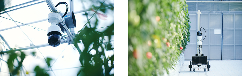 イメージ：検証内容