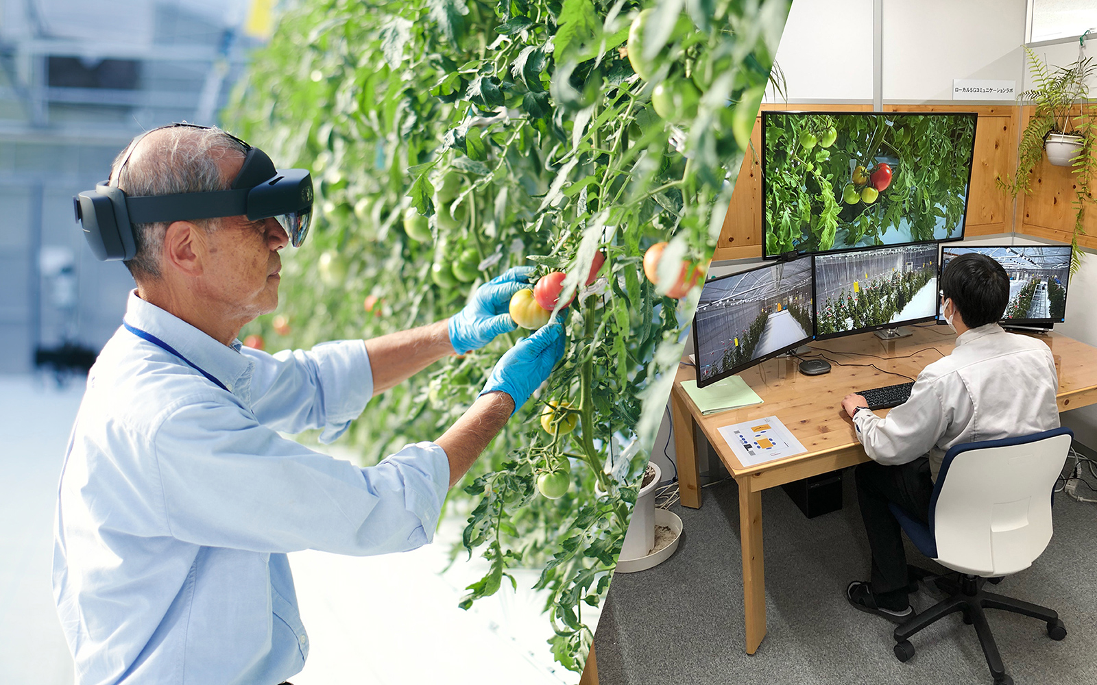 イメージ：4Kカメラ・スマートグラス・自立走行型ロボット等を活用した遠隔営農指導