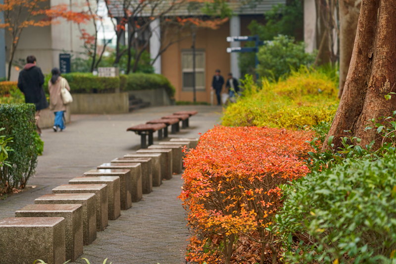 イメージ：ワンキャンパス