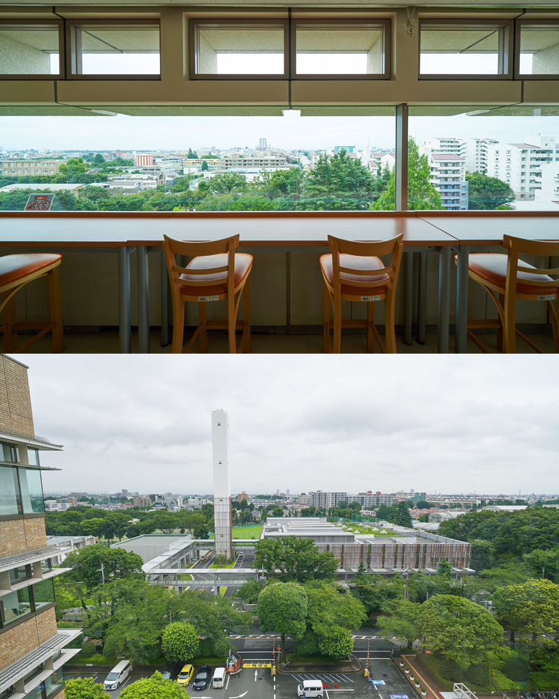 イメージ：市役所内の食堂や廊下では、緑豊かな景観を眺められる。