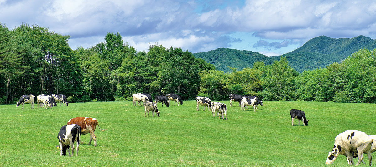 イメージ：廃棄物をエネルギーや肥料に変える資源循環ソリューションによる地域循環型社会の実現