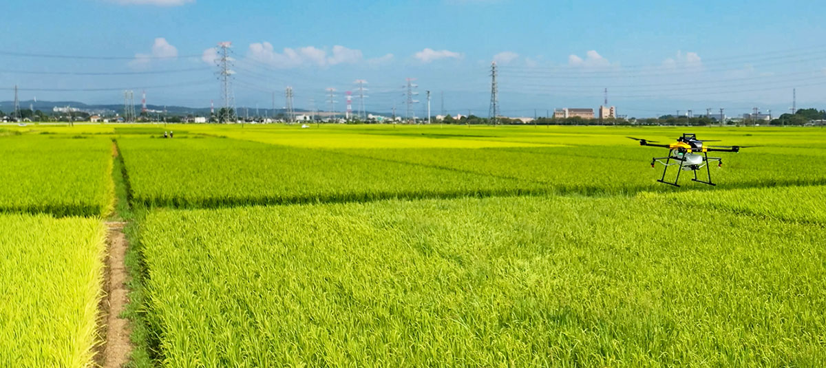 イメージ：人口の減少や高齢化が進む日本の農業における課題解決