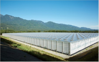 イメージ：次世代施設園芸の特徴-01