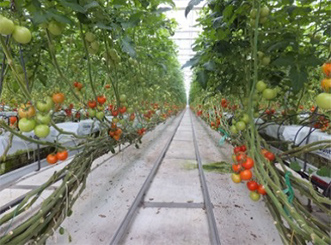 イメージ：次世代施設園芸の特徴-02