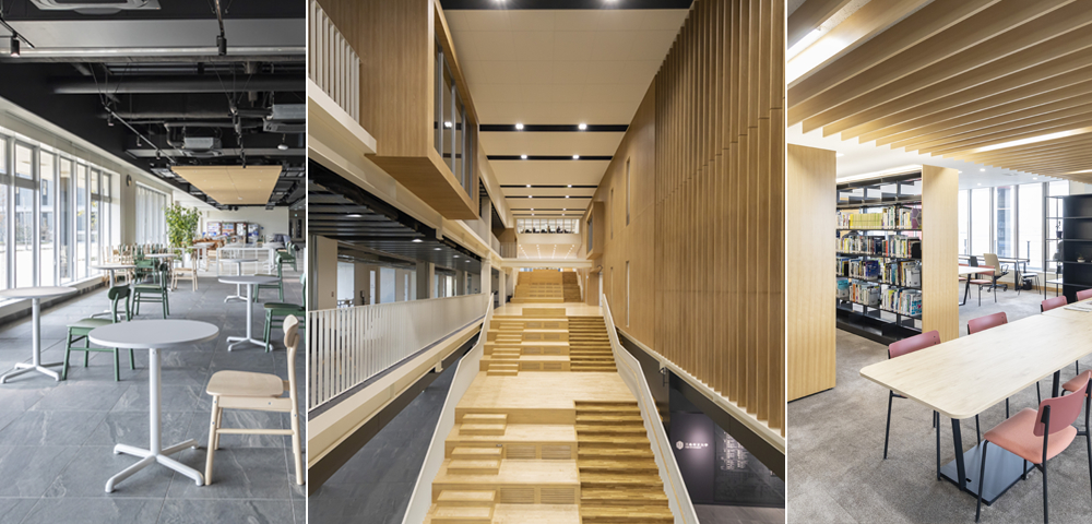 イメージ：新潟県