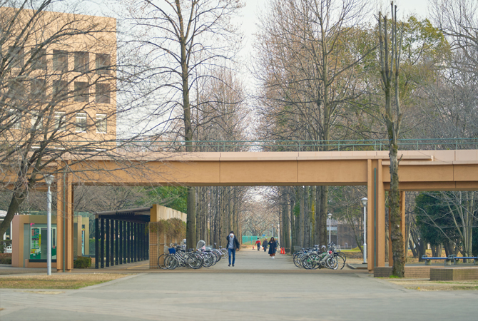 イメージ：正門から中央広場へと続く長い並木歩道は、緑豊かな府中キャンパスのメインストリート。