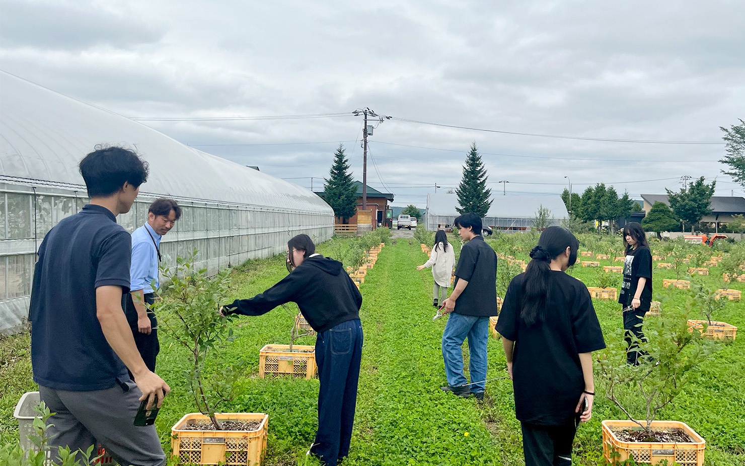 イメージ：現地ならではの収穫体験を楽しむ参加生徒たち