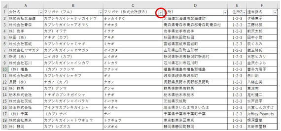 画像キャプチャ-08