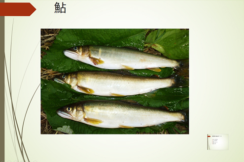 パワーポイントのズーム機能で、プレゼン力アップ！-12