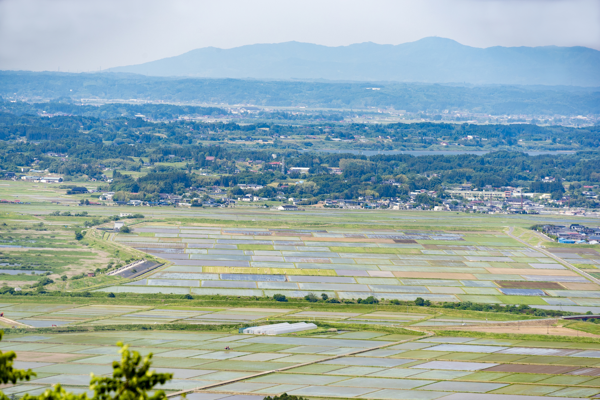 田舎の田んぼの景色_1
