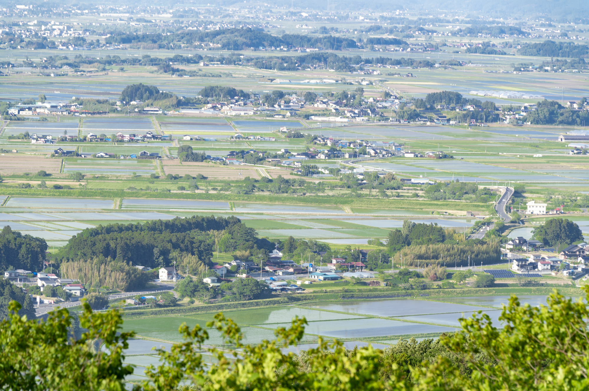 田舎の田んぼの景色_2