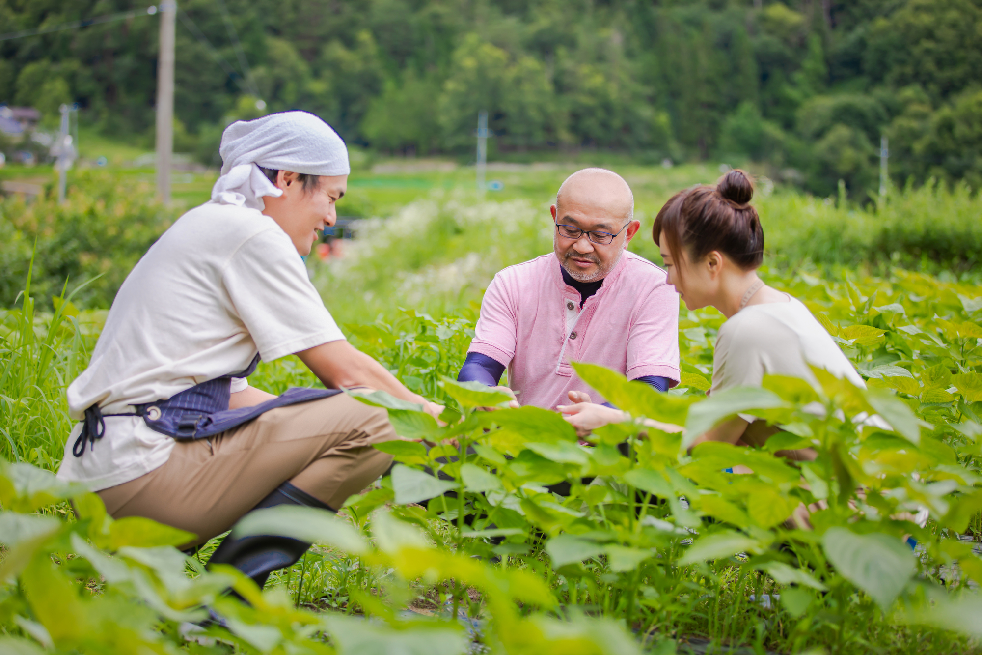 畑作業をしている様子