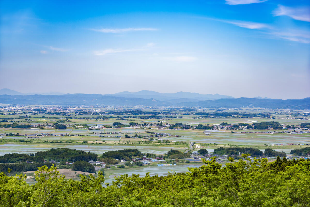 田舎の田んぼの景色_1