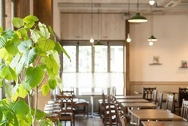 イメージ：新店舗に電話は必要？回線の種類や選び方も解説