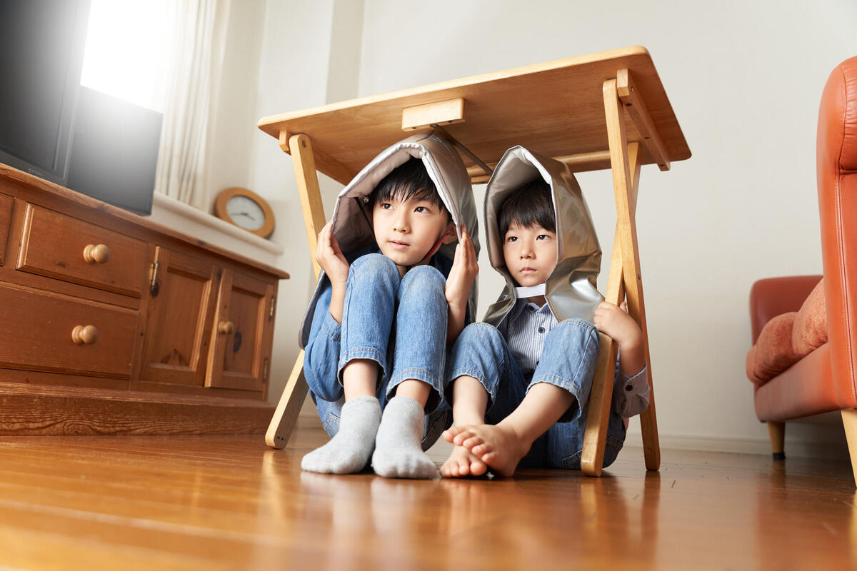 bizdrive_disasterprevention