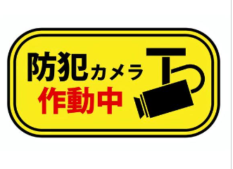 イメージ：防犯カメラで女性に安心を-3