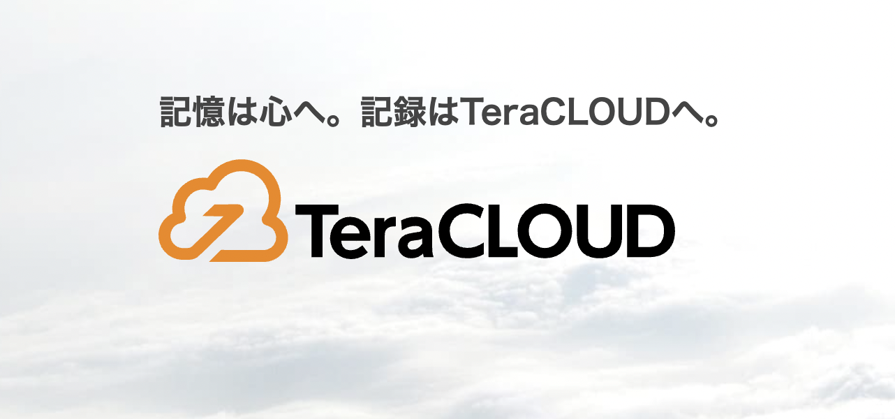 イメージ：容量や人数に自由度を持たせたいなら「TeraCLOUD」