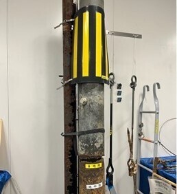 イメージ:犬の散歩ルートと電柱の寿命が関連している?!