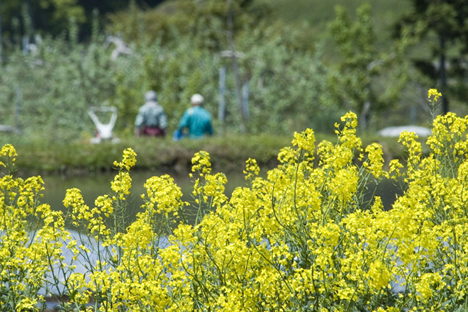 イメージ：独自の補助金・支援制度を設けている自治体も