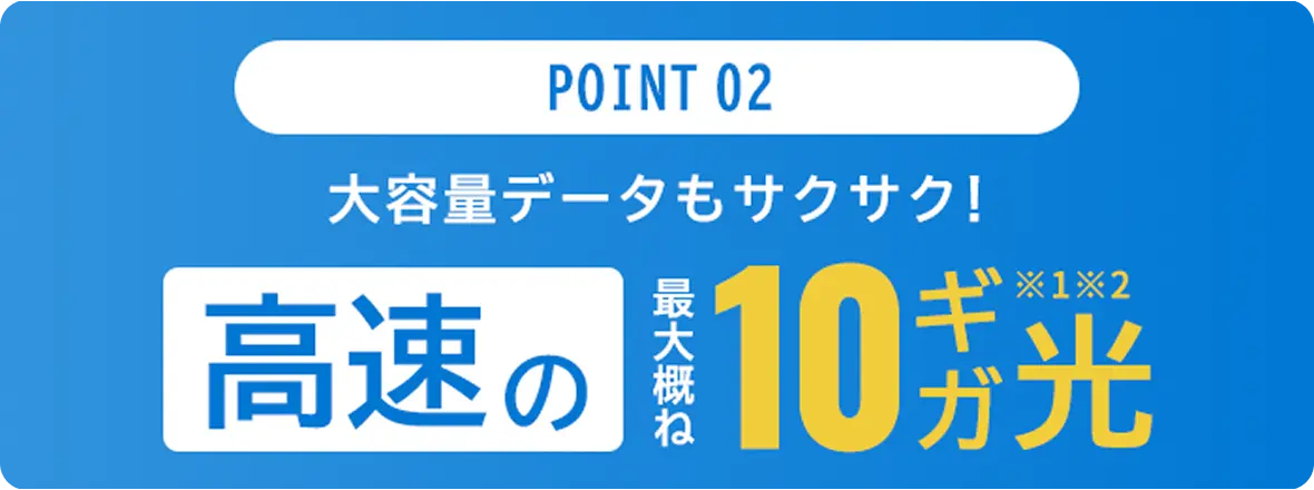 POINT 02 高速の10ギガ光