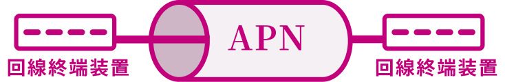 APN for IOWNのネットワーク図