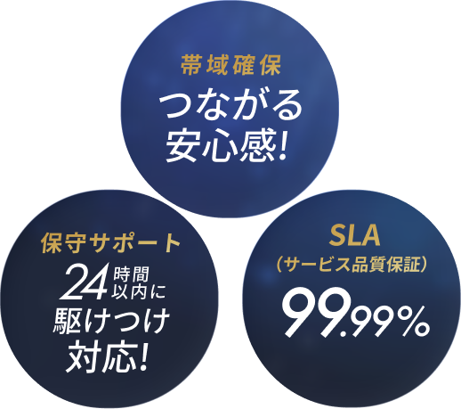 帯域確保 保守サポート SLA（サービス品質保証）