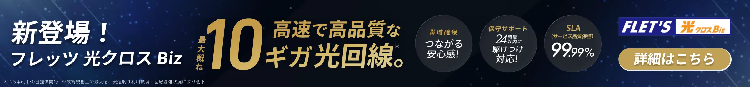 新登場！フレッツ 光クロスBiz 高速で高品質な最大概ね10ギガ光回線