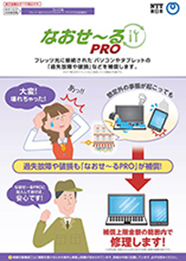 イメージ：なおせ～るPRO　パンフレット