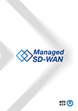 Managed SD-WAN PDF