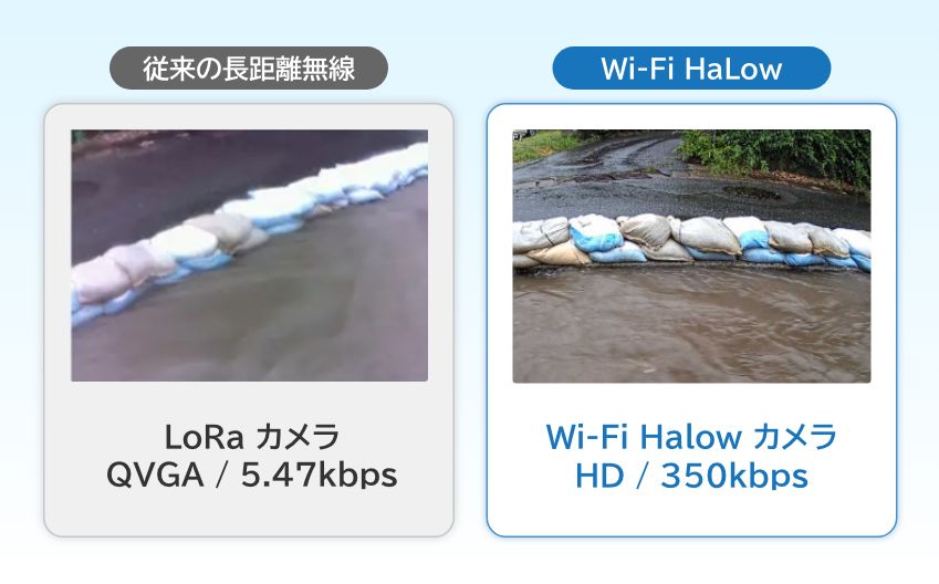 Wi-Fi HaLowカメラの映像比較