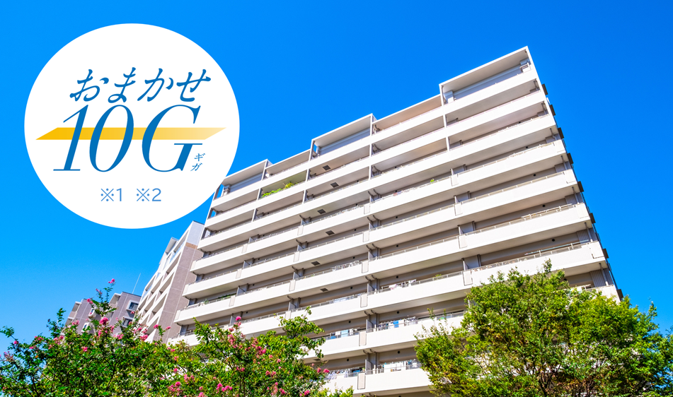 集合住宅向け　全戸一括 光回線インターネットサービス
