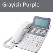 m.さま確認ページ♡ NTT西日本】テレワーク対応多機能ビジネスフォンシステム