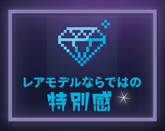 レアモデルならではの特別感