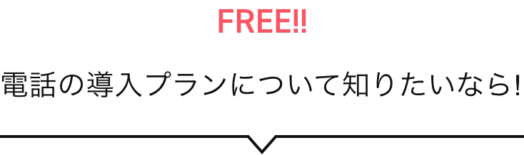 FREE!!電話の導入プランについて知りたいなら!